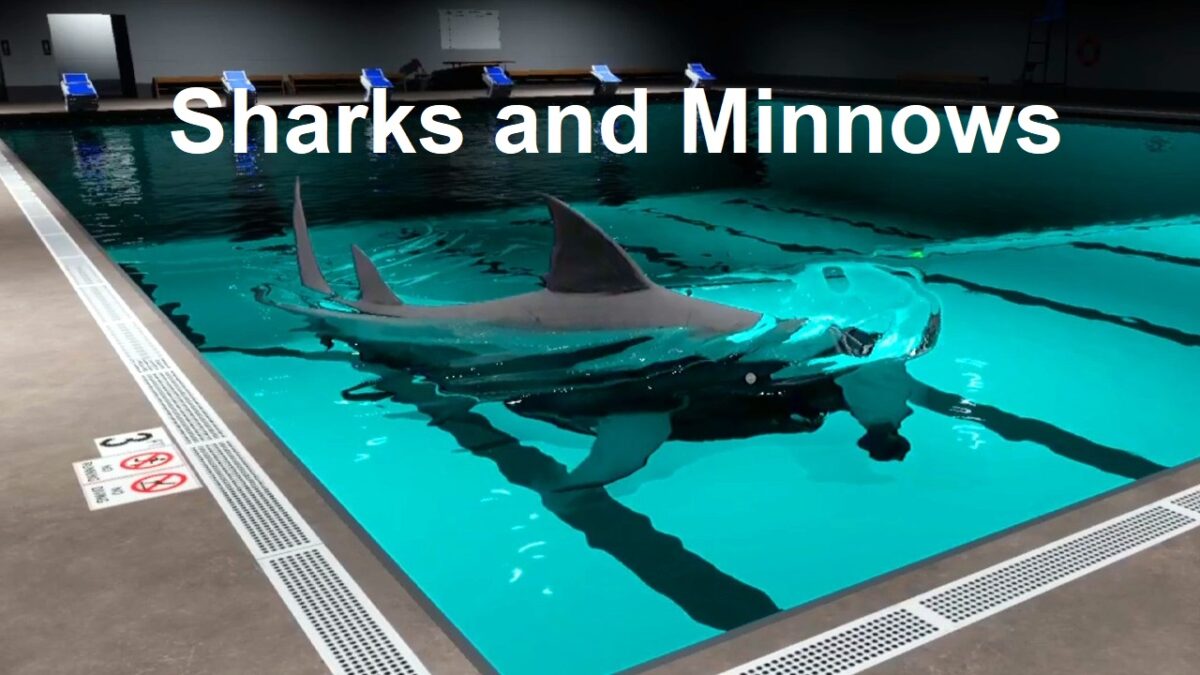 Sharks and Minnows تحميل مجانا